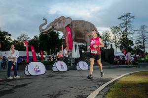 BIB: 
                            <button type="button" onclick="openModal(26529434)" class="btn btn-primary btn-sm float-right btn-popup" data-toggle="modal" data-target=".modal-high-quality">
                        <i class="fas fa-shopping-cart"></i> Add to Cart
                    </button>
                                            <button type="button" onclick="isThisMe(26529434, true)" class="btn btn-success btn-sm float-right btn-popup btn-isme hidden" data-toggle="tooltip" data-placement="bottom" title="นี่คือรูปของคุณใช่ไหม คลิกที่นี่เพื่อเอาเข้าอัลบั้ม">
                        <i class="fas fa-plus"></i> Add to album
                    </button>
                    <button type="button" onclick="isThisMe(26529434, false)" class="btn btn-warning btn-sm float-right btn-popup btn-isnotme hidden">
                        <i class="fas fa-ban"></i> Remove from album
                    </button>